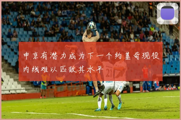申京有潜力成为下一个约基奇现役内线难以匹敌其水平
