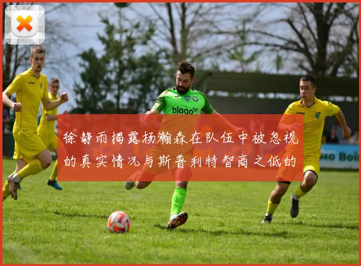 徐静雨揭露杨瀚森在队伍中被忽视的真实情况与斯普利特智商之低的尴尬真相